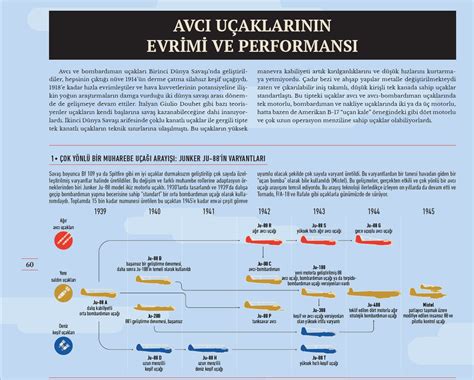  Linum: Dokuma Sanayisinin Temel Taşı mı? Bir İnceleme!