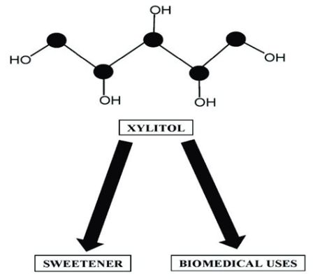  Xylitol Üretimi ve Uygulamalarında Yeni Bir Bakış Açısı!